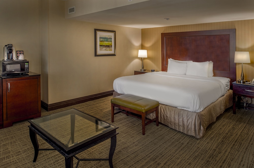 Crowne Plaza St. Louis Airport by IHG - photo 59