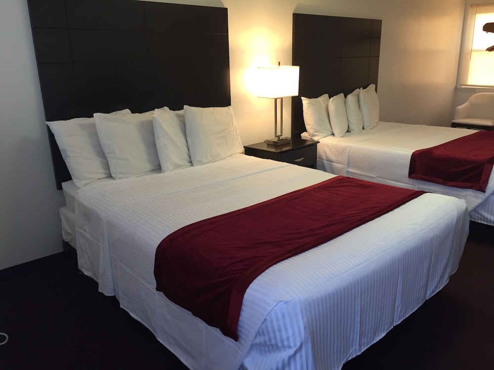 The Wellington Hotel & Suites Oceanblock - photo 8