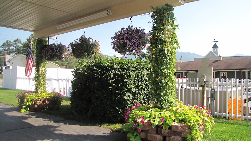 Mt Madison Inn & Suites - photo 48