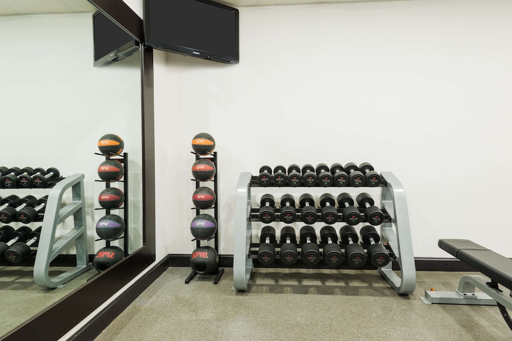 Homewood Suites by Hilton Holyoke Springfield North - photo 23