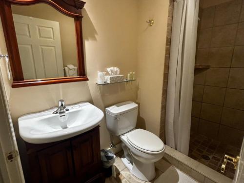 Hotel Belvidere - photo 5