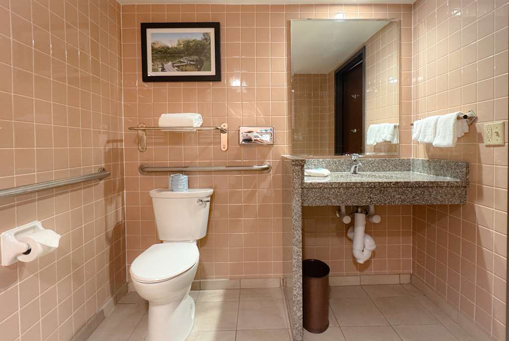 Heritage Inn & Suites St. Louis Fenton Trademark by Wyndham - photo 20