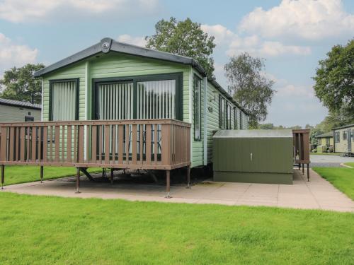 Swan in Leominster, United Kingdom