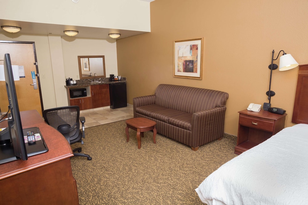 Hampton Inn Oneonta - photo 7