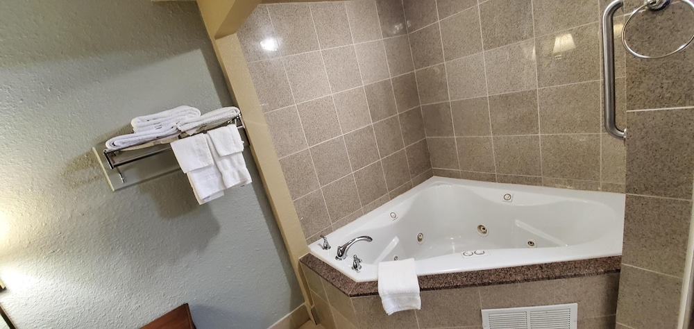 FairBridge Inn & Suites McDonough - photo 25