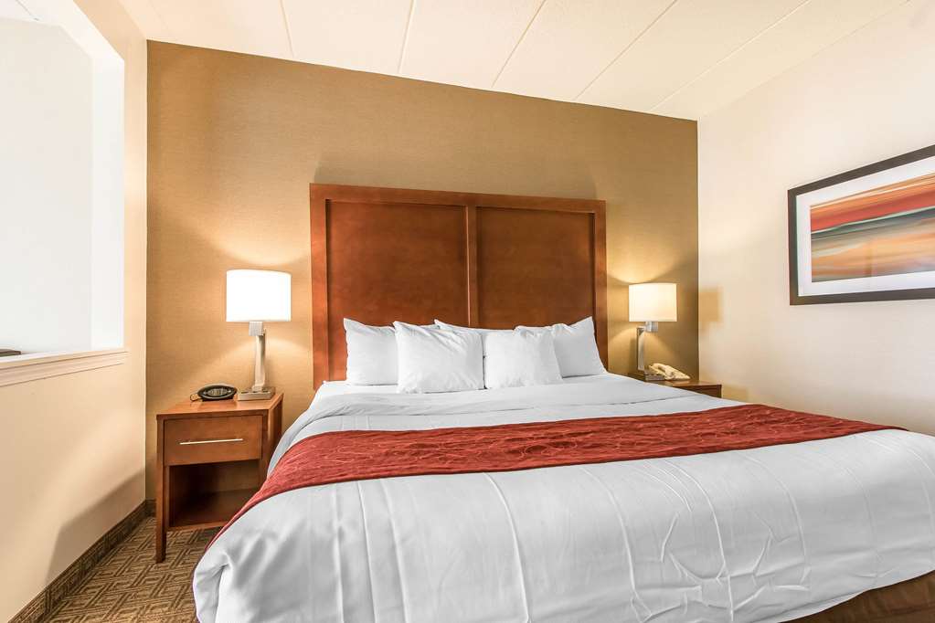 Comfort Suites Richmond - photo 11