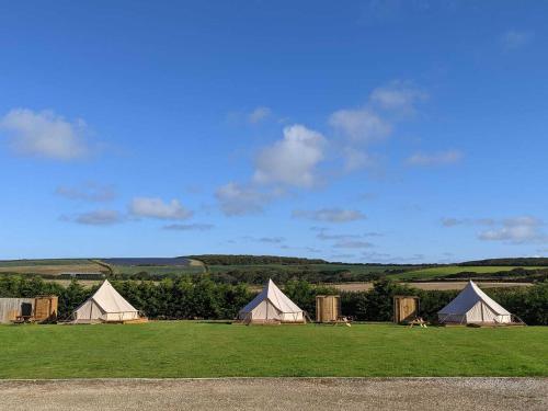 Penhallow Glampsite in Truro, United Kingdom