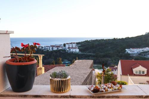 Luxury apartment Marko