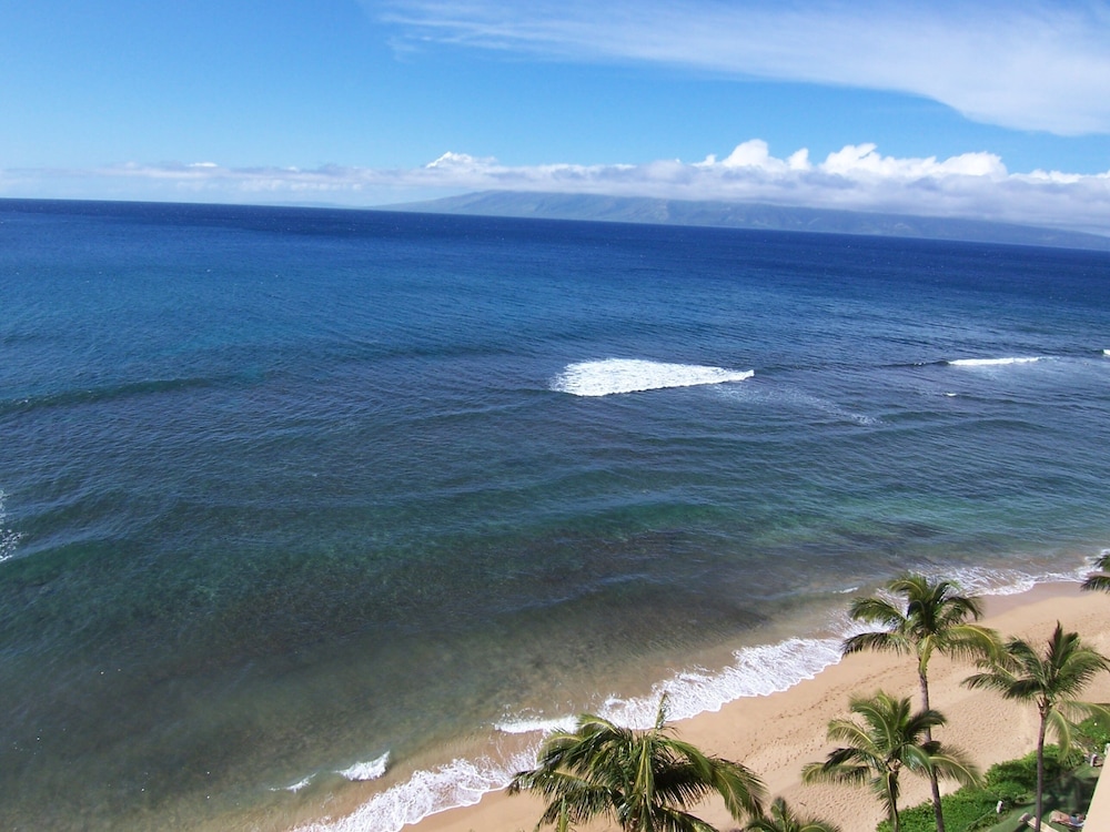 Mahana Resort #1204 1 Br Condo - photo 40