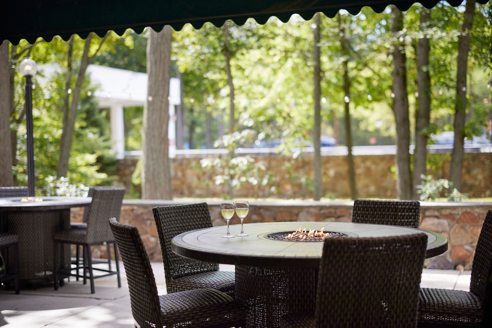 Marriott Park Ridge - photo 46