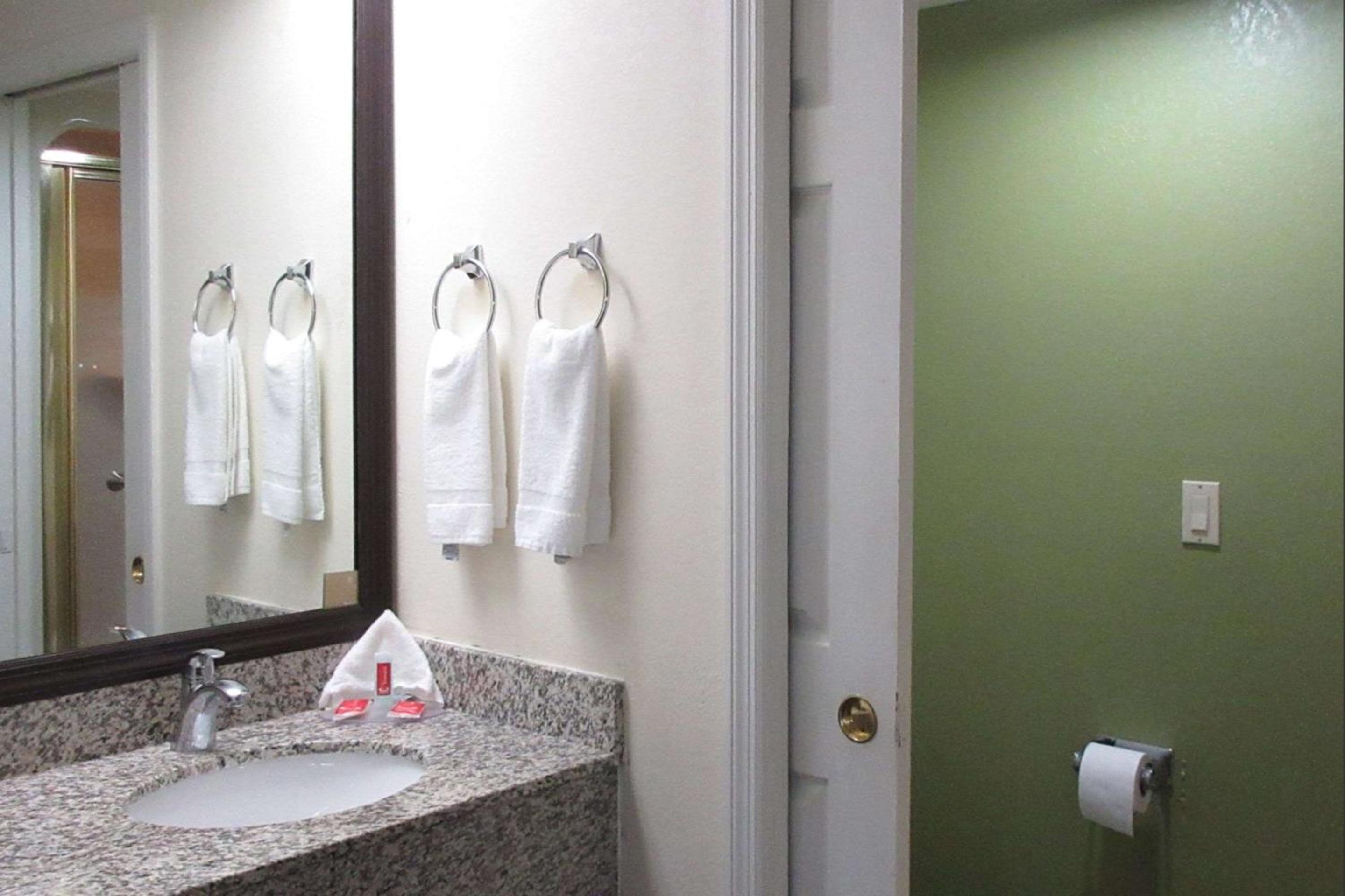 Ramada by Wyndham Albany GA - photo 13