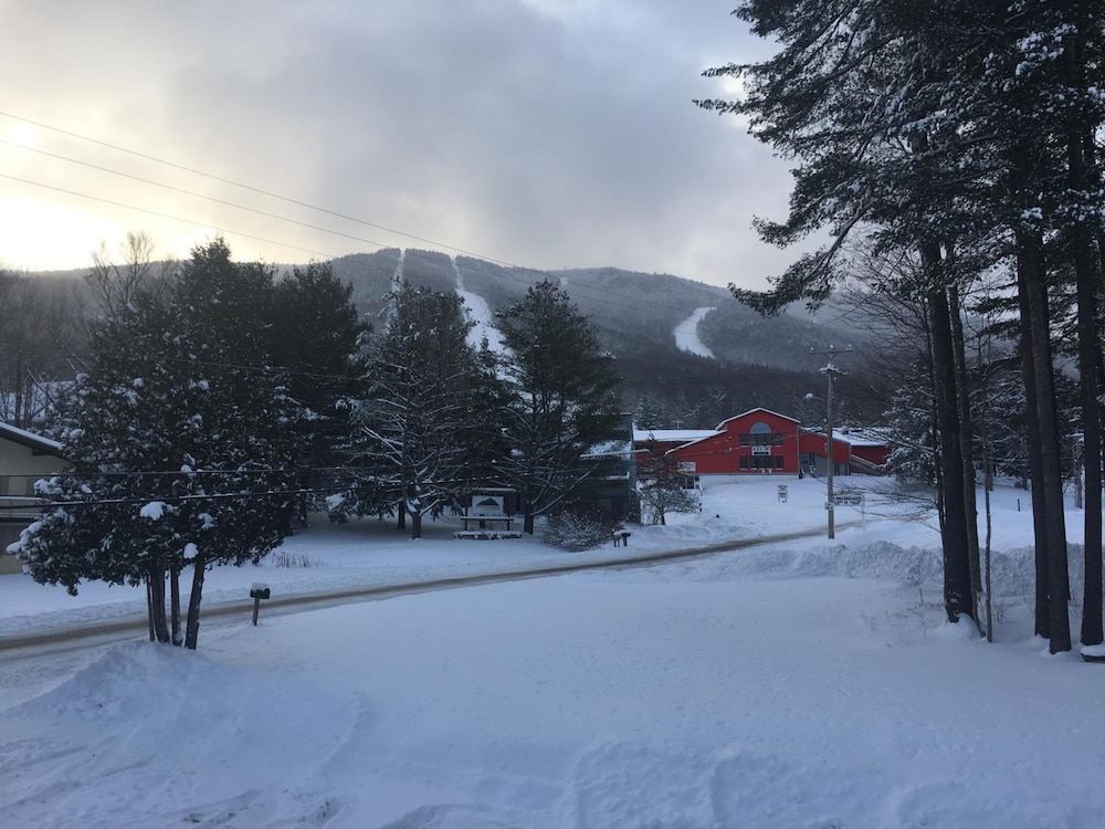 The Upper Pass Lodge at Magic Mountain - photo 18