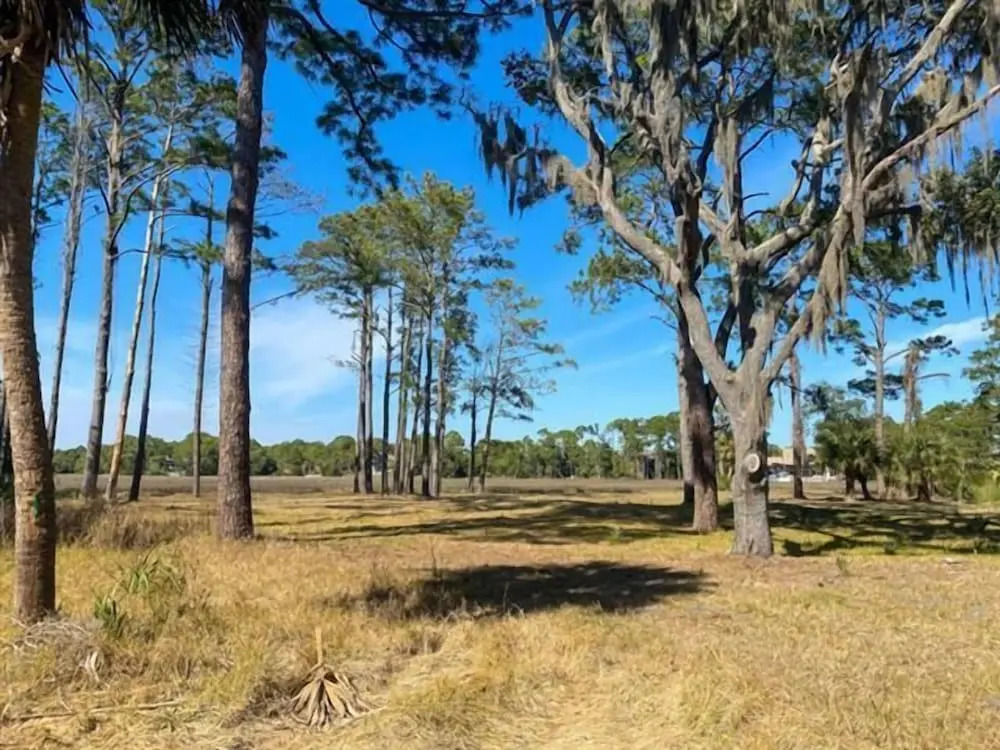 19 Bald Eagle West at The Sea Pines Resort - photo 16