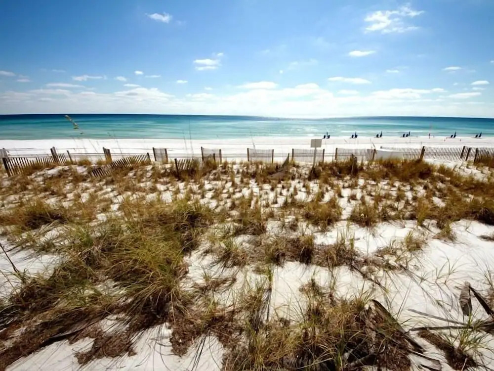 Silver Beach Towers - photo 9