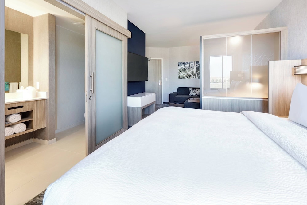 Springhill Suites Dallas Mansfield - photo 7