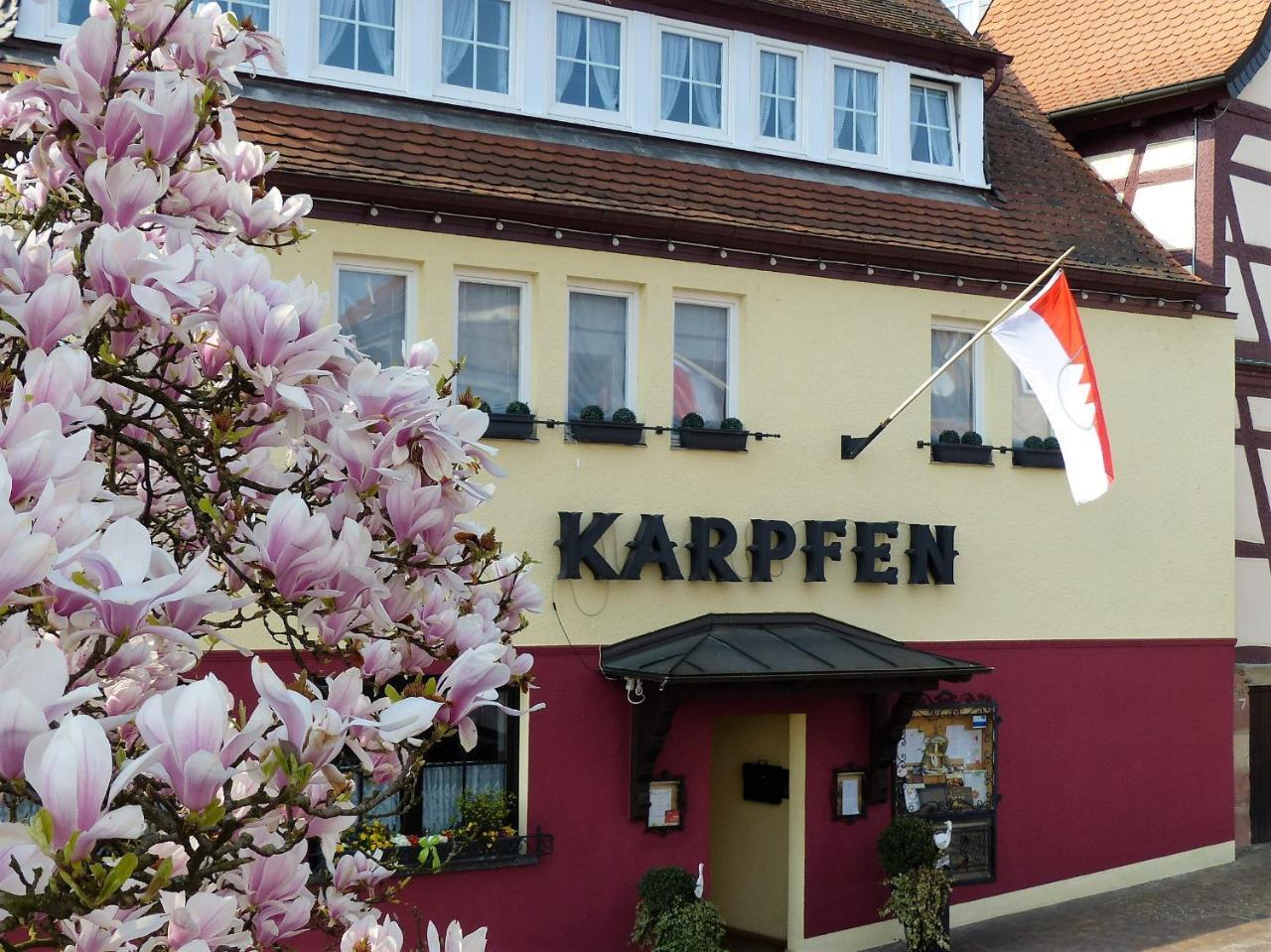 Hotel & Restaurant Zum Karpfen — Obernburg Am Main — photo 2