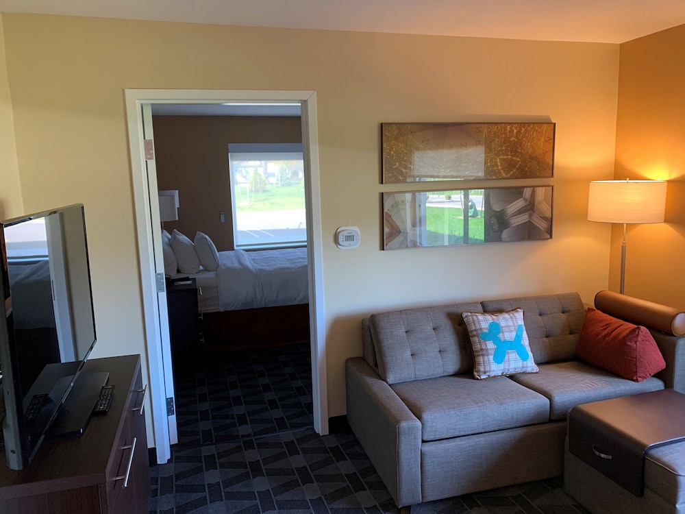 TownePlace Suites by Marriott Detroit Belleville - photo 8