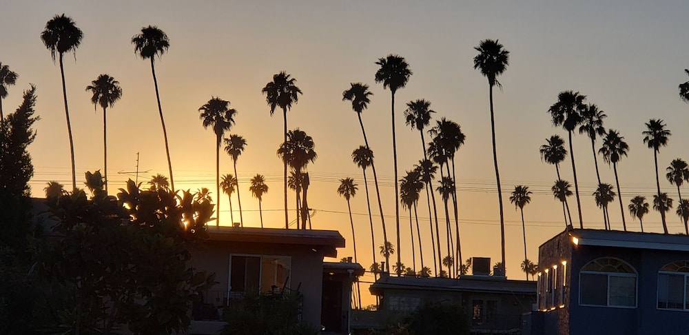 Mystayla - photo 26