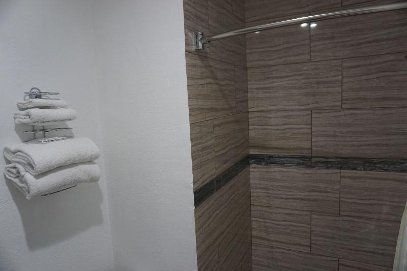 Las Palmas Hotel - photo 13