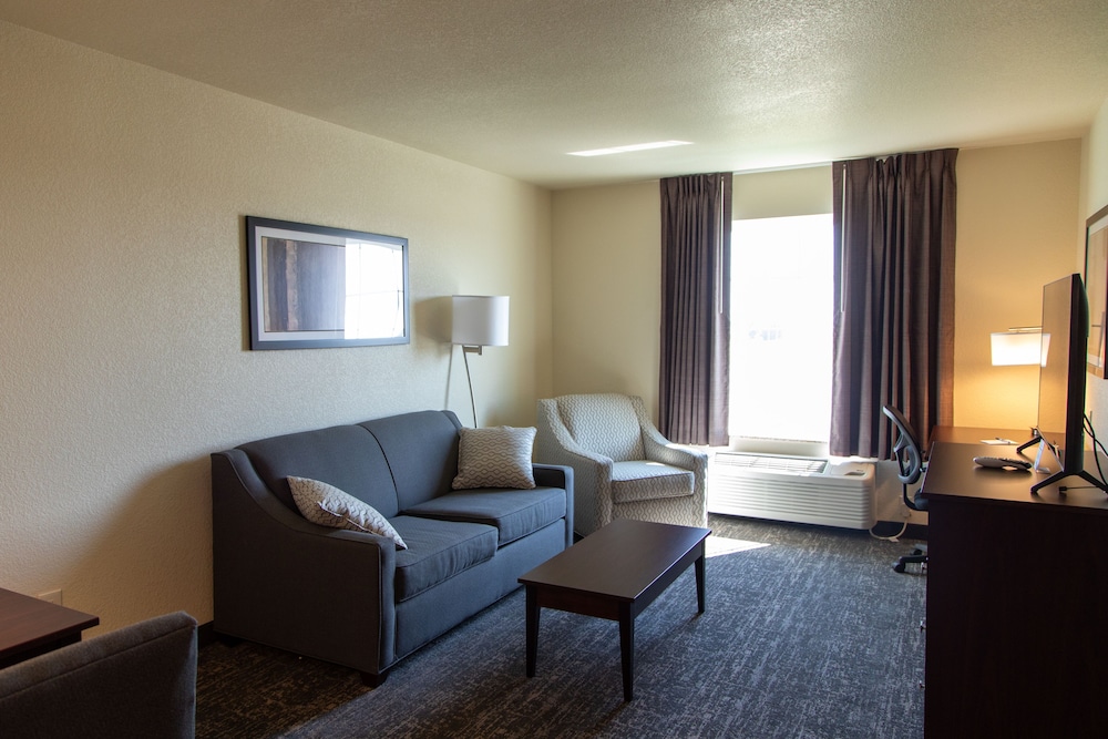 Cobblestone Inn & Suites of Springfield - photo 24