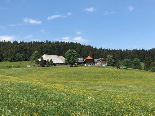 Rengethof — hotel in Eisenbach