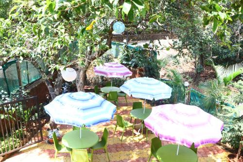 Neuaura Stays in Mahabaleshwar, India