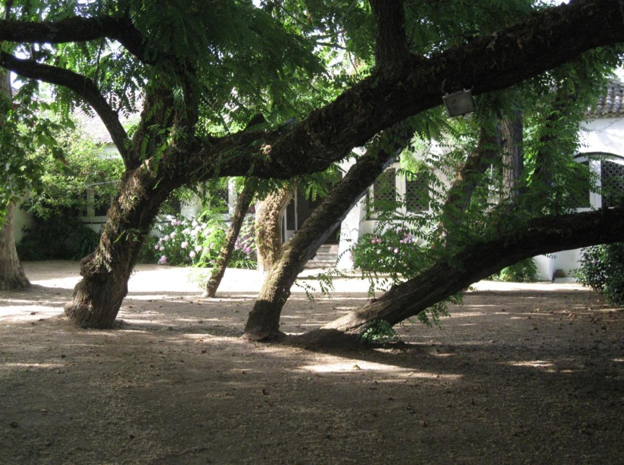 Quinta de Sao Jose — hotel in Sobral De Monte Agraco