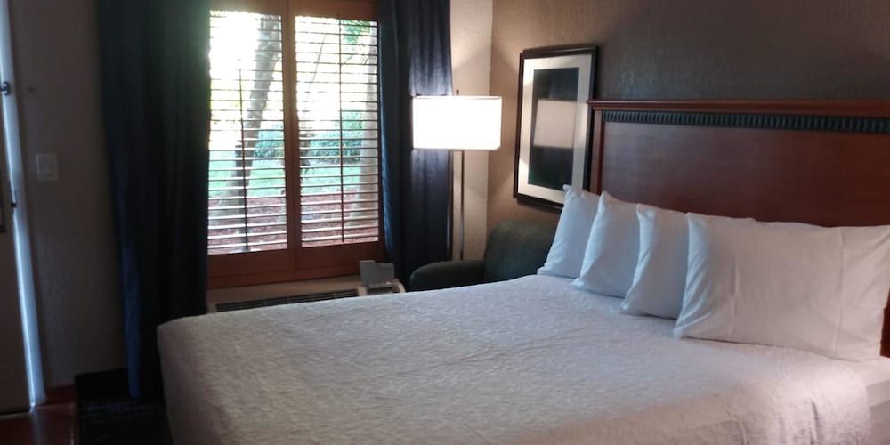 SureStay Plus Hotel by Best Western Clearwater Central - photo 18