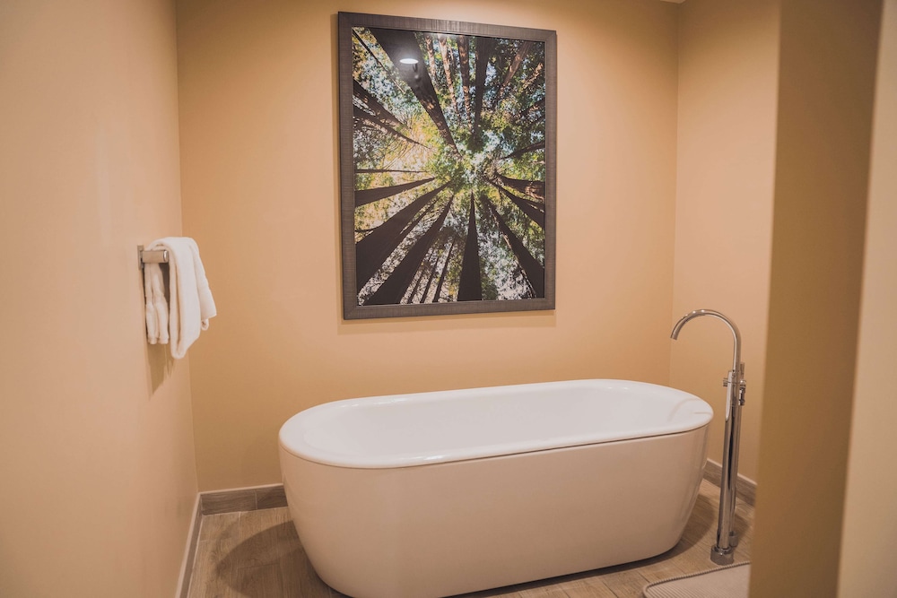 Tailwater Lodge Altmar Tapestry Collection by Hilton - photo 48