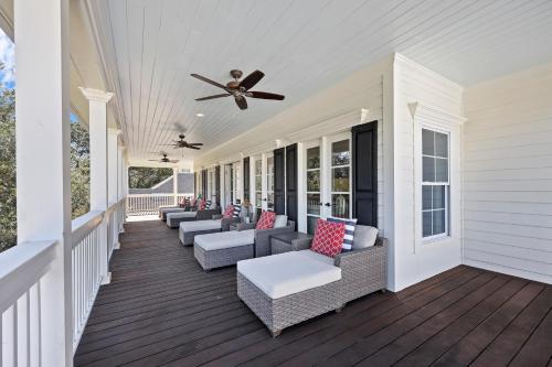 19 Sand Dollar - photo 28