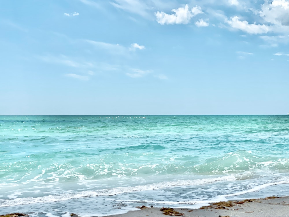 Manasota Key Resort - photo 89