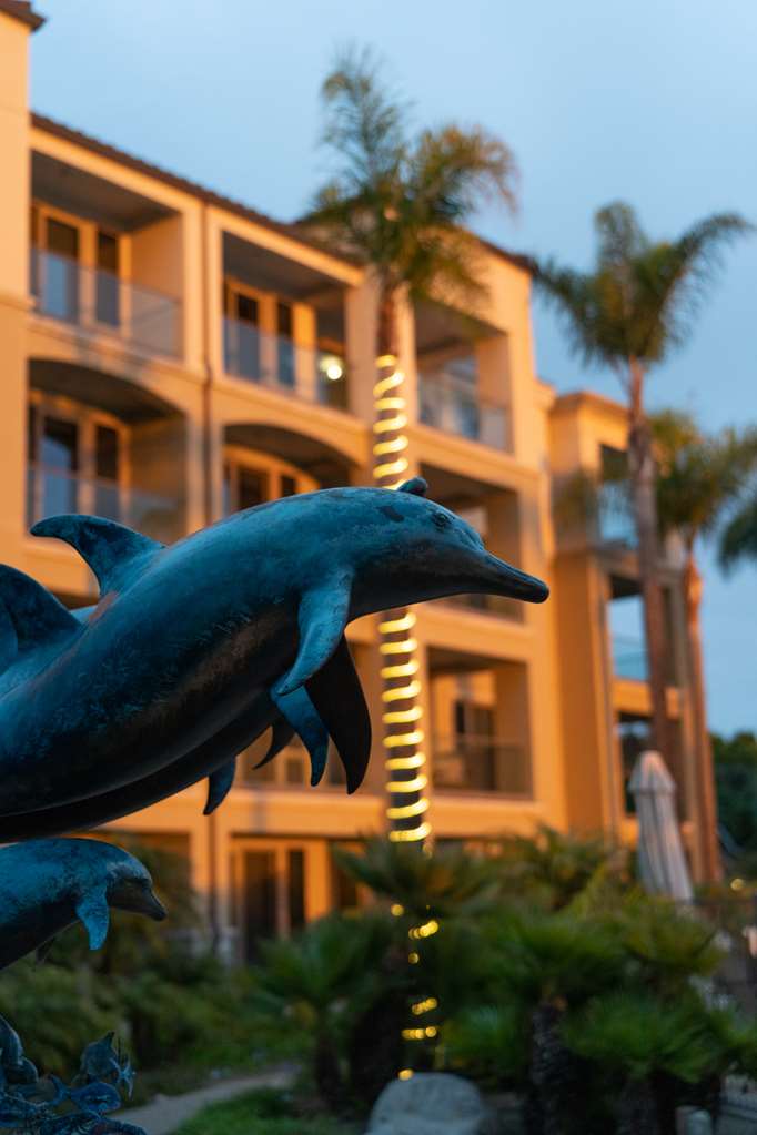 Dolphin Bay Resort And Spa - photo 8