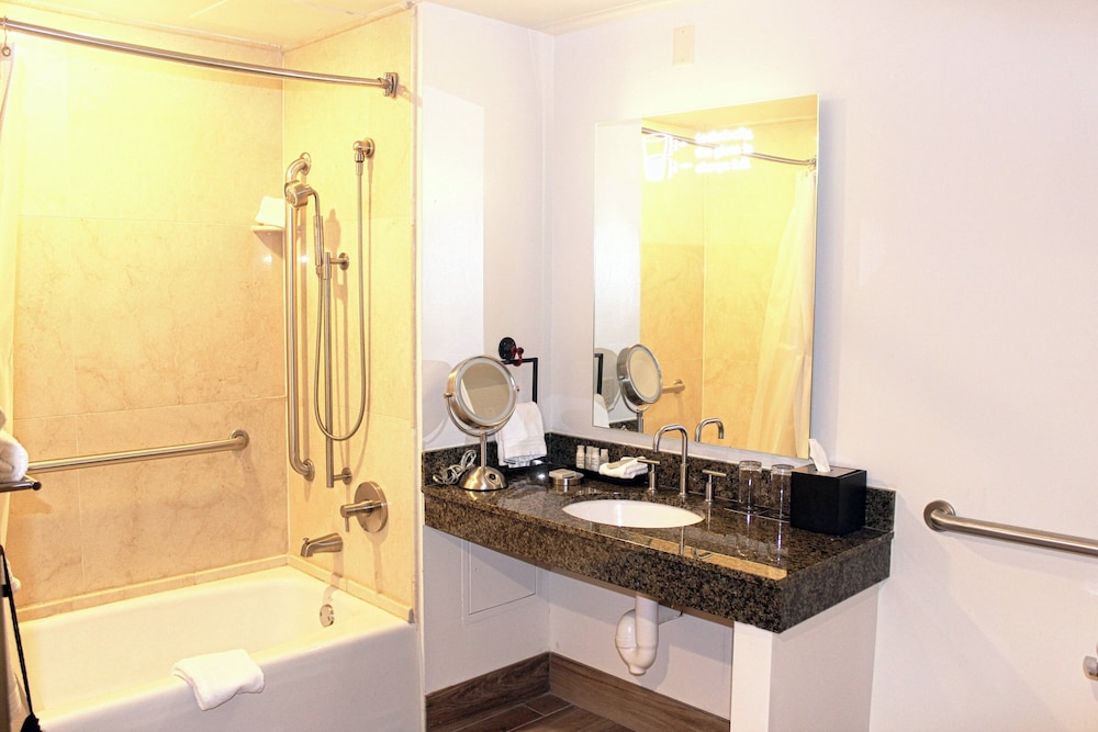 Renaissance Toledo Downtown Hotel - photo 33