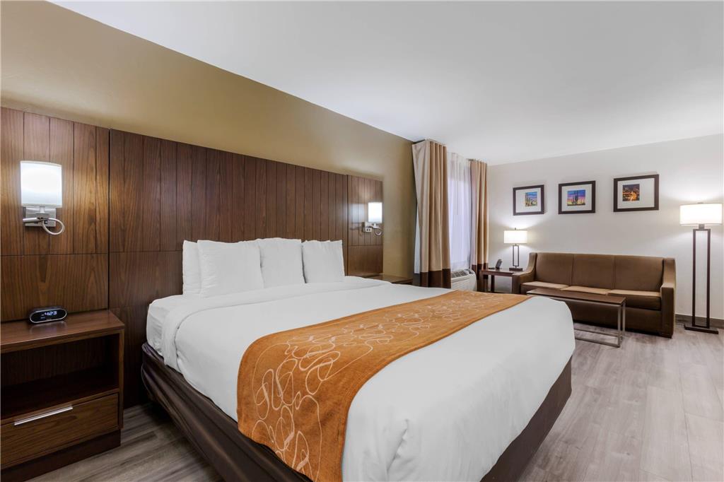 Comfort Suites Tucson near Sabino Canyon - photo 15