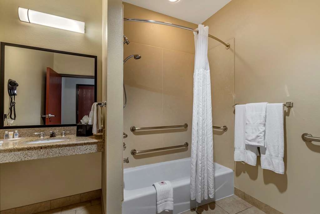 Comfort Suites Buda Austin South - photo 25