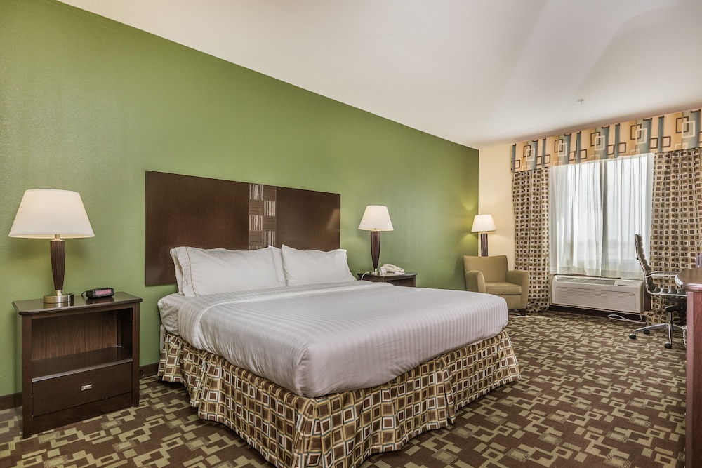 Holiday Inn Express Hotel & Suites Dumas by IHG - photo 19