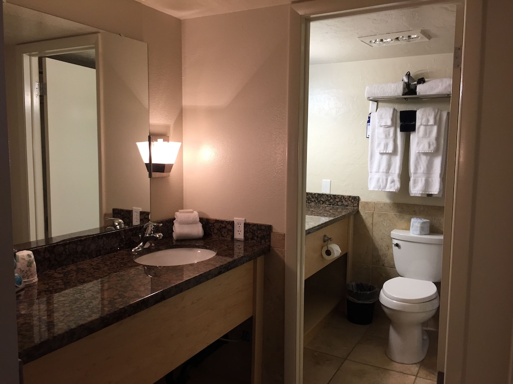 Dinosaur Inn & Suites - photo 36