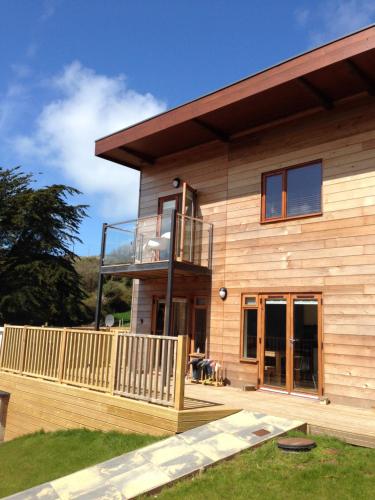 Anemone in Truro, United Kingdom