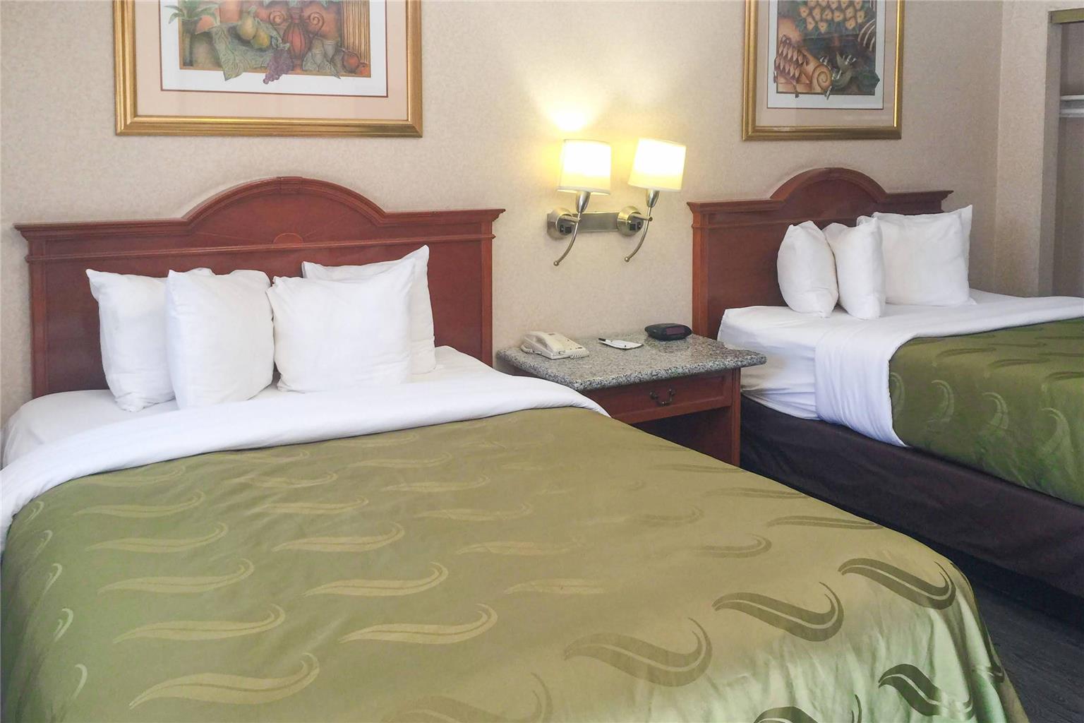 Quality Inn & Suites Oceanside near Camp Pendleton - photo 28