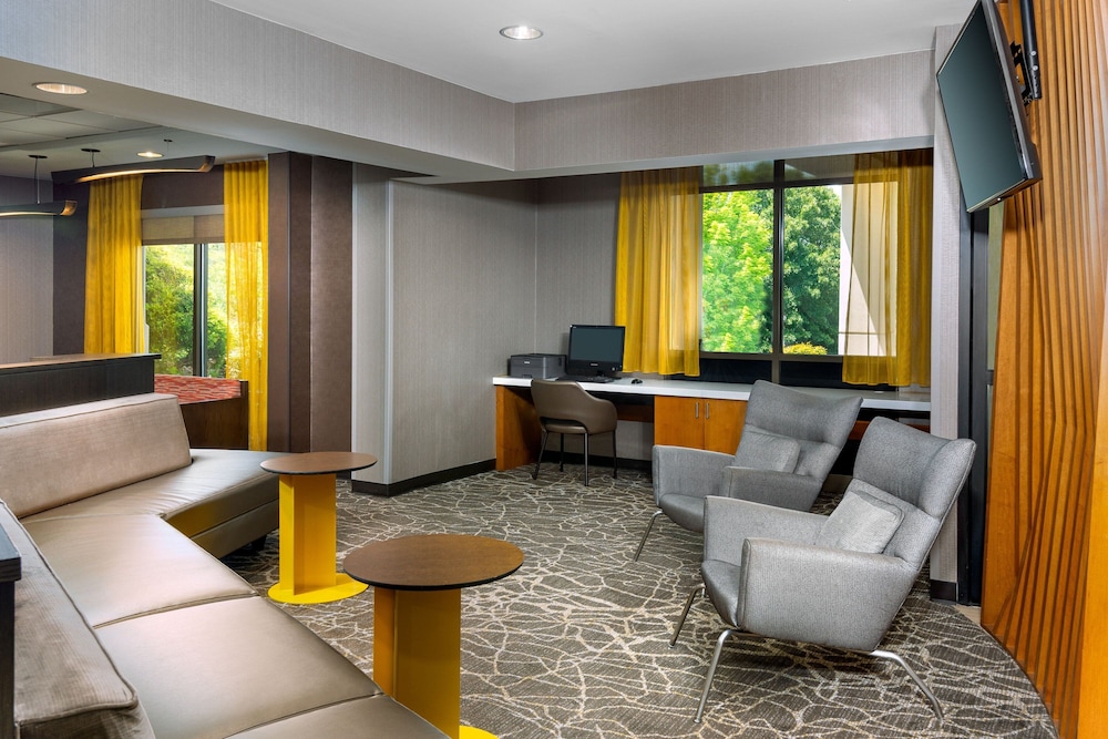 SpringHill Suites by Marriott Asheville - photo 22