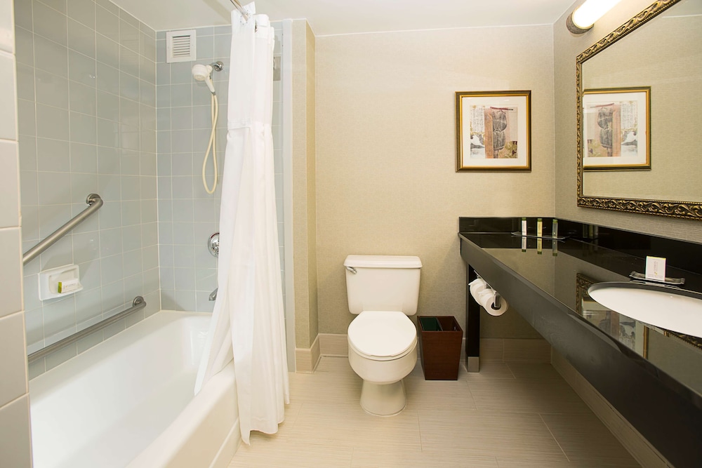 DoubleTree by Hilton Detroit Novi - photo 14