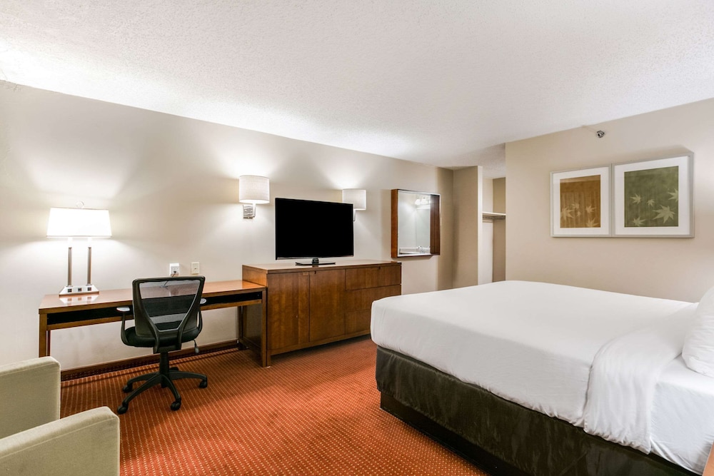Clarion Hotel BWI Airport Arundel Mills - photo 23