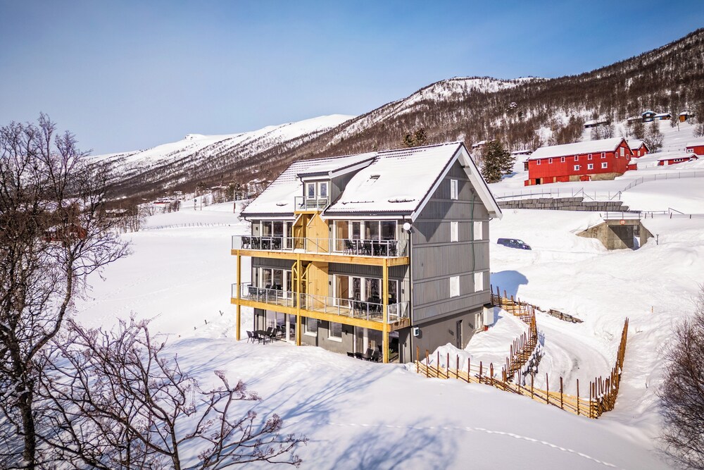 Gullstein in Hol, Norway