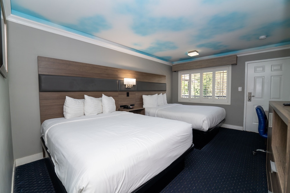 Hollywood Palms Inn and Suites - photo 52