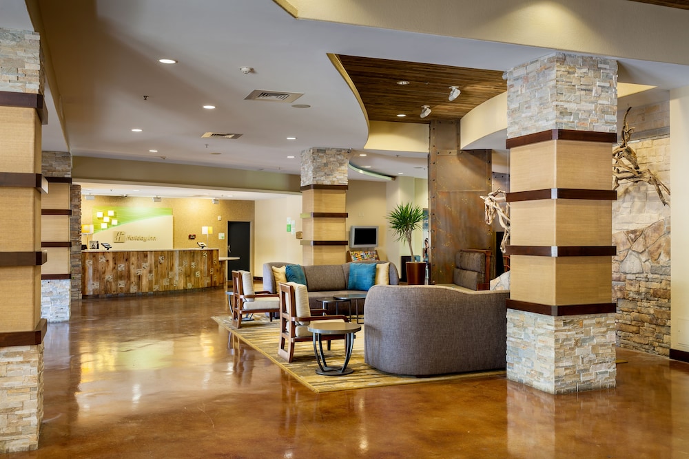 Holiday Inn San Antonio Seaworld by IHG - photo 54