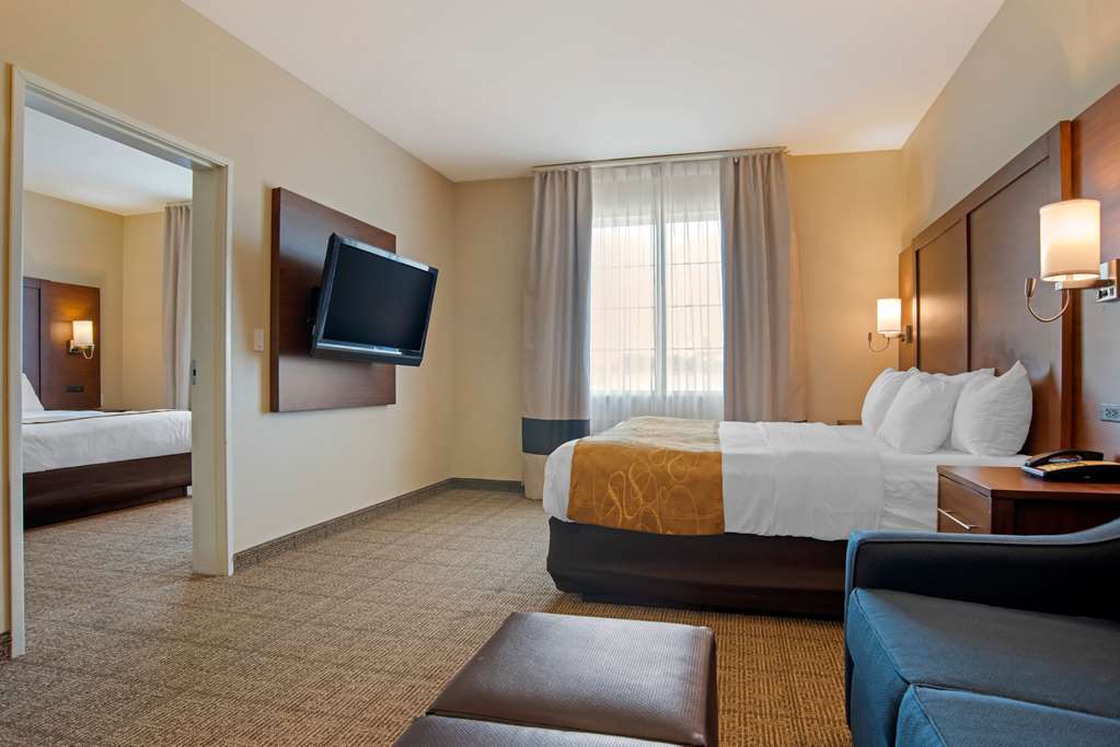 Comfort Suites Alexandria North - photo 15