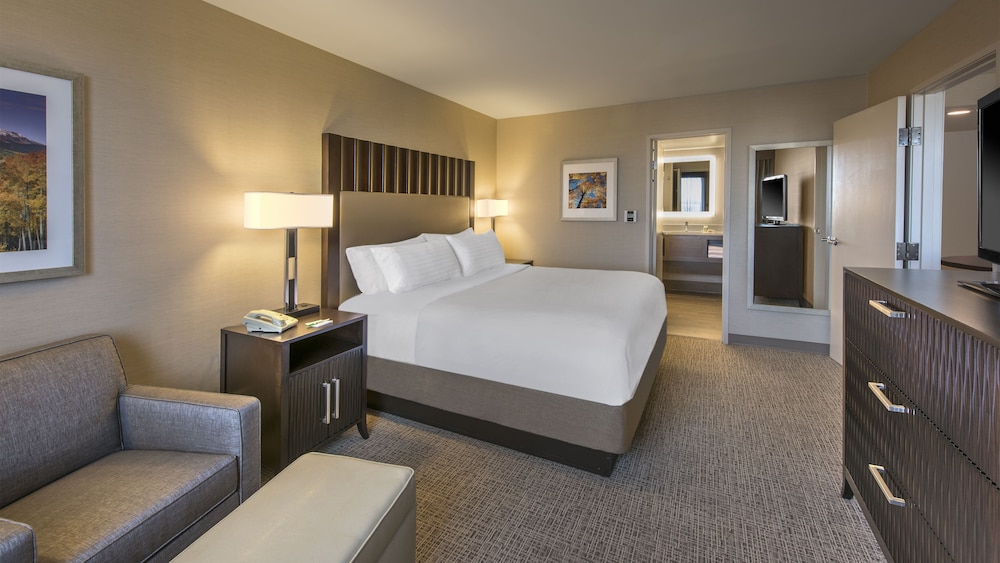 Holiday Inn Denver Lakewood by IHG - photo 7
