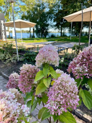 Hido Hotel in Xanten, Germany