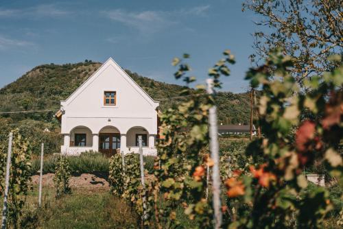 Zsálya Présház - carbon neutral hotel in Unknown City
