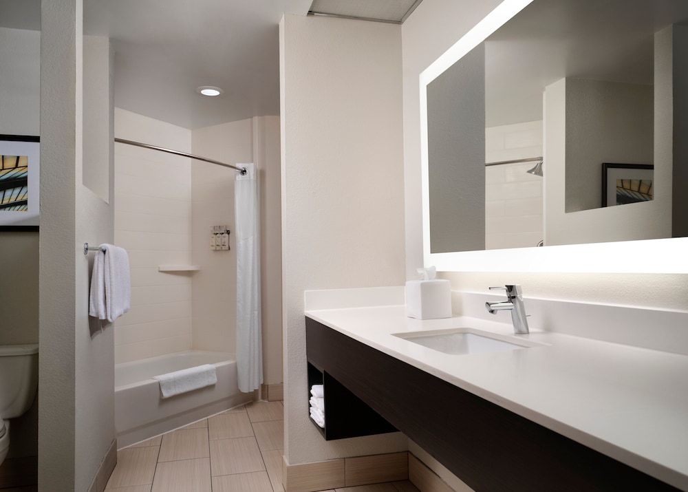 Holiday Inn Express & Suites New Orleans Airport South by IHG - photo 19